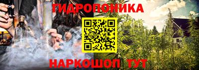 гидра Кингисепп