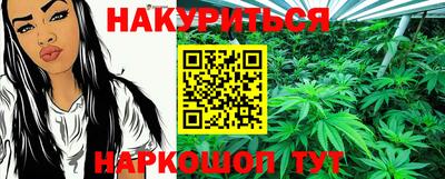 гидра Кингисепп