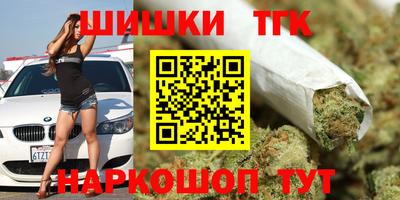 гидра Кингисепп