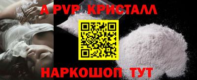 гидра Кингисепп