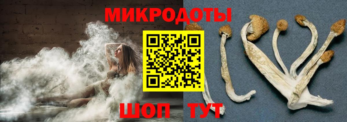 Галлюциногенные грибы мухоморы Канаш